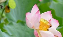 贵人相助，从今再也不会被霉运缠上的三生肖，有永远用不完的财富