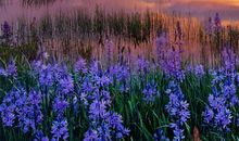 这三大生肖在8月28号可以放手一搏，有护身符护体干什么都成功