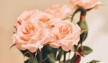 最有福气的三大生肖女，后半生注定顺风顺水，生活幸福美满