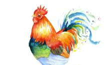 1993年属鸡的人2020年运势及运程大全解析(图文)