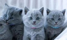 天生交际官！剖析人缘爆好的血型