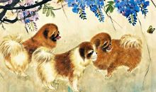 最接地气的三个生肖，再有钱也不炫富！