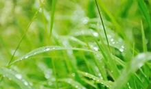 特大好消息！1号开始，雨过天晴，3生肖遇贵人，金银滚滚，一发发大财