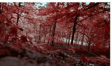 天生吉星护命的三大生肖女，福禄双全，老公疼爱，婆婆喜欢