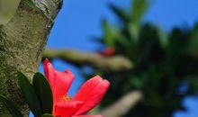 2020年运势攀升机遇多，财运大幅飙涨，福运当头的四属相