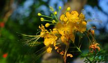 10月31号开始财源滚滚来，正财收入颇丰，偏财收获不少的四属相