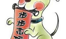 属狗性格特点 待人真诚为人仗义