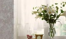 这三大生肖的女人娶回家，如同把财神请回家