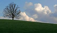 10月大运到来，11月富贵荣华，四大生肖苦尽甘来！