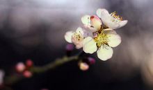 9月锦鲤附体，八方来财，收获良多的星座