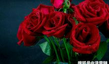 详解八字中的九种桃花星，快来看你是否命带桃花