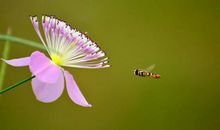 2019年告别霉运，运势逆袭，好运挡不住，春风得意的3大生肖