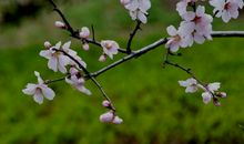 2020年开始财运临头，招财聚财容易，大财小钱连绵不断的属相