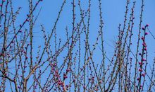 未来七天“行大运”，运势突飞猛进的3生肖，穷人逆袭成富豪