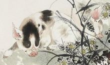 娶老婆首选这三个生肖女，有旺夫之命，娶回家旺夫兴家！