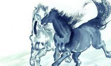 有点花心的几个生肖男人，喜欢追求自由，女人降不住他