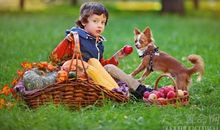 2019年1月生的宝宝属什么（属狗） 生肖划分不同的说法解析