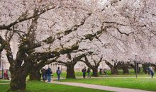 12生肖，喜欢抱着老婆睡的4个生肖男，表面高冷实则“小奶狗”