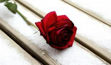 最不好骗的生肖女，“天生的预言家”，第六感极强，让人羡慕！