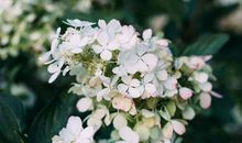 十二生肖中，3个生肖，11月12月，日进斗金。存款翻倍