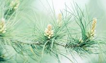 个性很强的星座，跟大众不一样，与众不同！