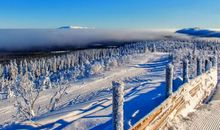 财运亨通发大财的3生肖，不出7天，喜鹊报大喜，六六大顺