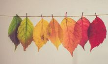 女巫店一周星座运势（10.28-11.3）