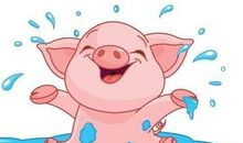 属猪AB型血的人性格分析 凡事都有自己的主见