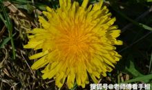 再过一星期，进财如流水的三大生肖女，家庭上更加和睦