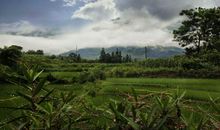 四生肖女婚姻感情踏实，不喜欢虚伪的烂漫与惊喜