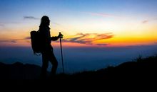 十一月遇大喜，喜鹊报喜，恭喜3属相，钱财大增，大富大贵赚大钱