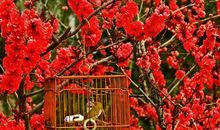 10月26号开始运势极佳，4属相运势大洗牌，遇见真爱，生活幸福