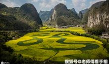 十二生肖中，这几个生肖有望获得财神的认可，前途一片光明