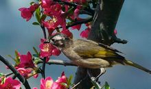 明天开始，身边贵人围绕的属相，出现更多赚钱机会，喜事多多