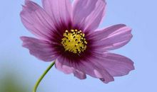 11月贵人和横财不请自来，想不发达都难的生肖，以后日子无忧愁