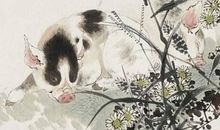 19年最后2个月，运气持续转好，发财享福不在话下的3生肖