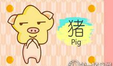 2019年出生属猪宝宝命运如何
