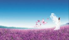 天生好运的生肖女，不管做什么事都非常的有魅力，追求者众多