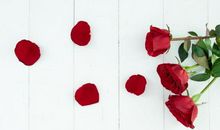 未来3年运势畅达，财旺业旺的3大生肖，赚钱多多，财富尽显！