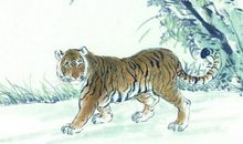 晚年最享福的三大生肖，不用为子女担忧！