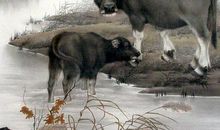 找对象不看脸的3生肖男，认为老婆最完美，婚姻也最容易白头到老