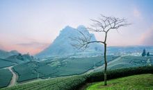 十一月起，运势一级棒，贵人搭桥，赚钱赚到手软的3生肖