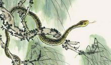 属蛇2020年运势及运程 2020年属蛇人全年运势