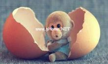 2016年属猴的几月出生最好，四月出生最好会享尽荣华富贵