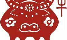 十月下旬伸手就能把财富带回家的四大生肖