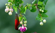 10月23号开始，4属相福运翻倍涨，钱财不缺，发财享富贵