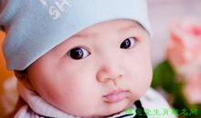 生肖姓名学虎名字带解释