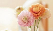 旺夫能力一流，三大生肖女进家门，40岁前就能财源滚滚