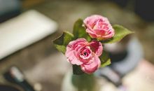 天塌下来她撑着！旺夫逢凶化吉的三大生肖女，娶她就是享福