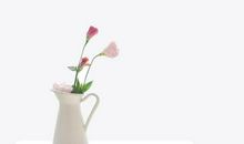 这三大生肖的女人，财源滚滚进家门，年龄越大越享福